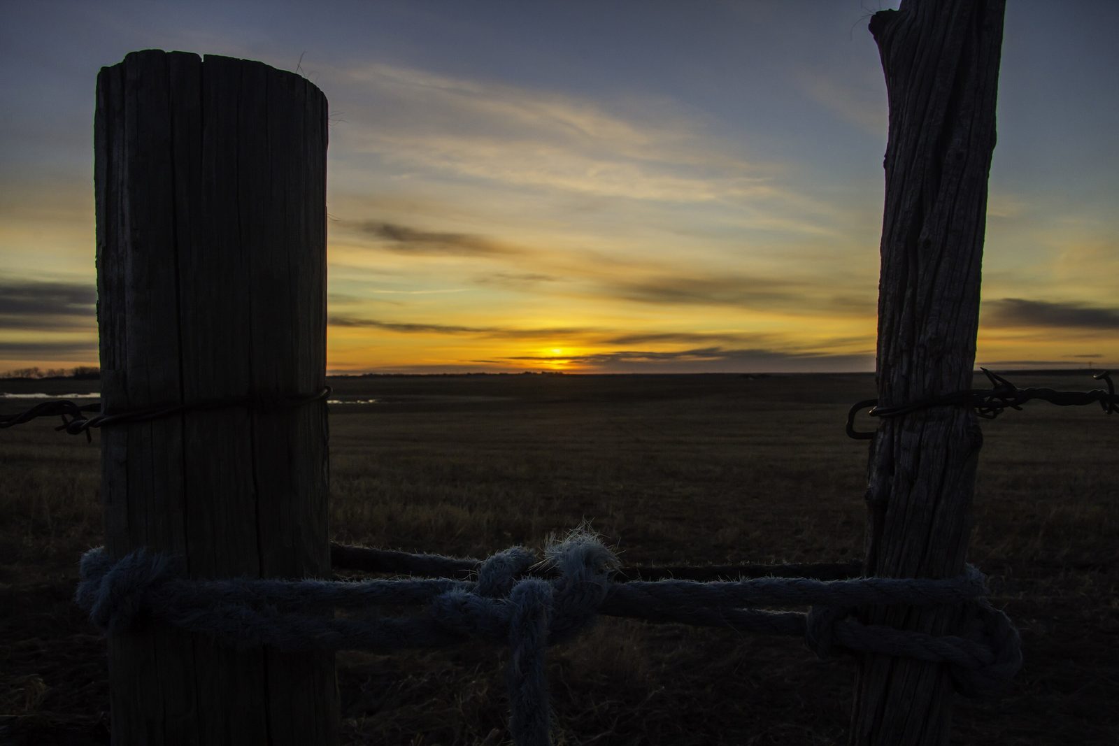 Sunrise burning gold over a fence line and open field in rural Alberta