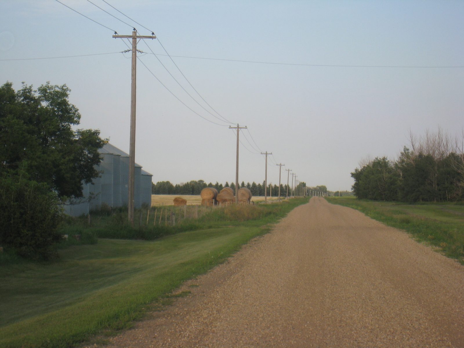 A gravel road running past a farmyard and treeline in rural Alberta