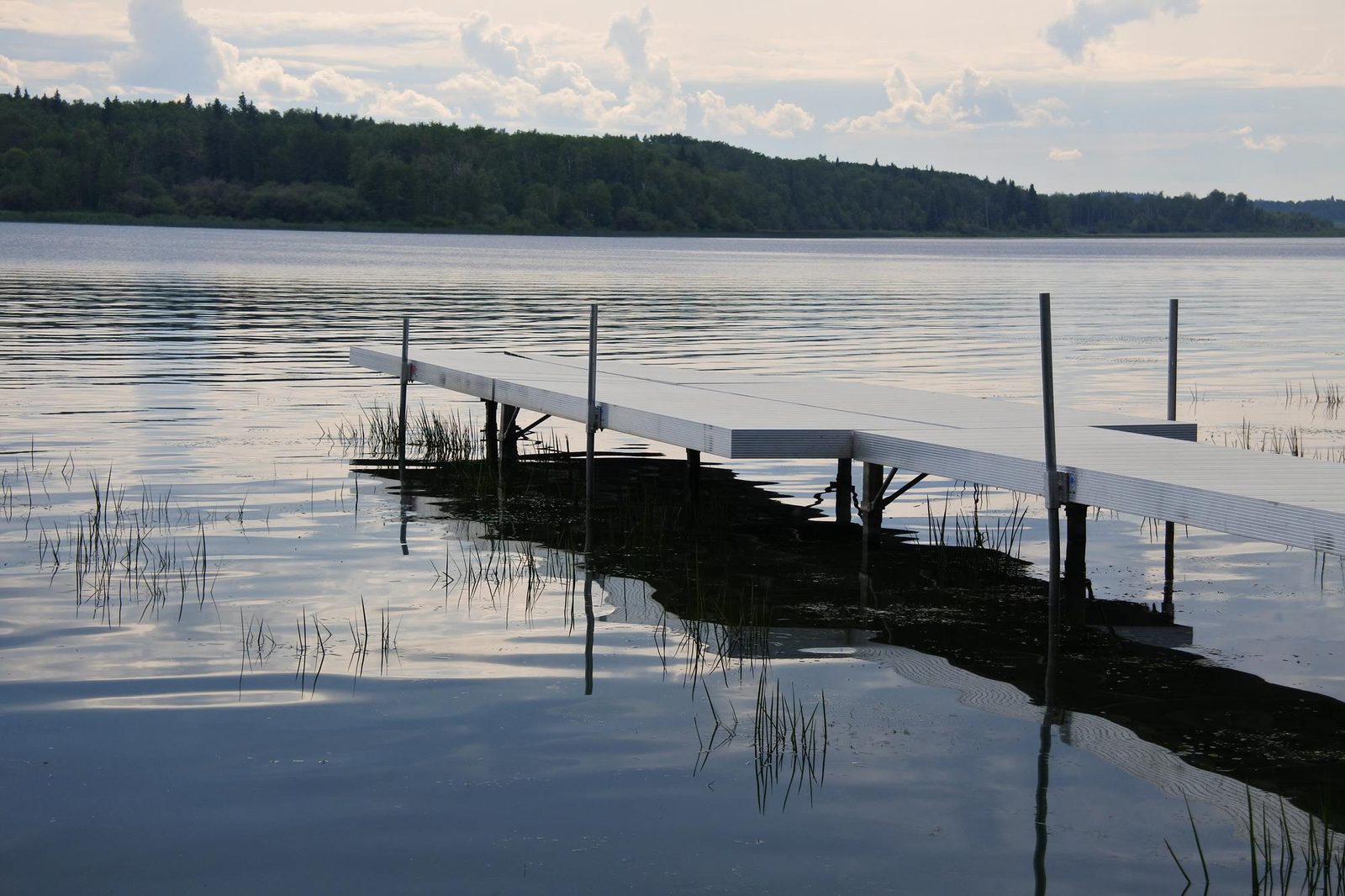 A wooden dock reaching into Lake Isle, in the lake country of Lac Ste. Anne County