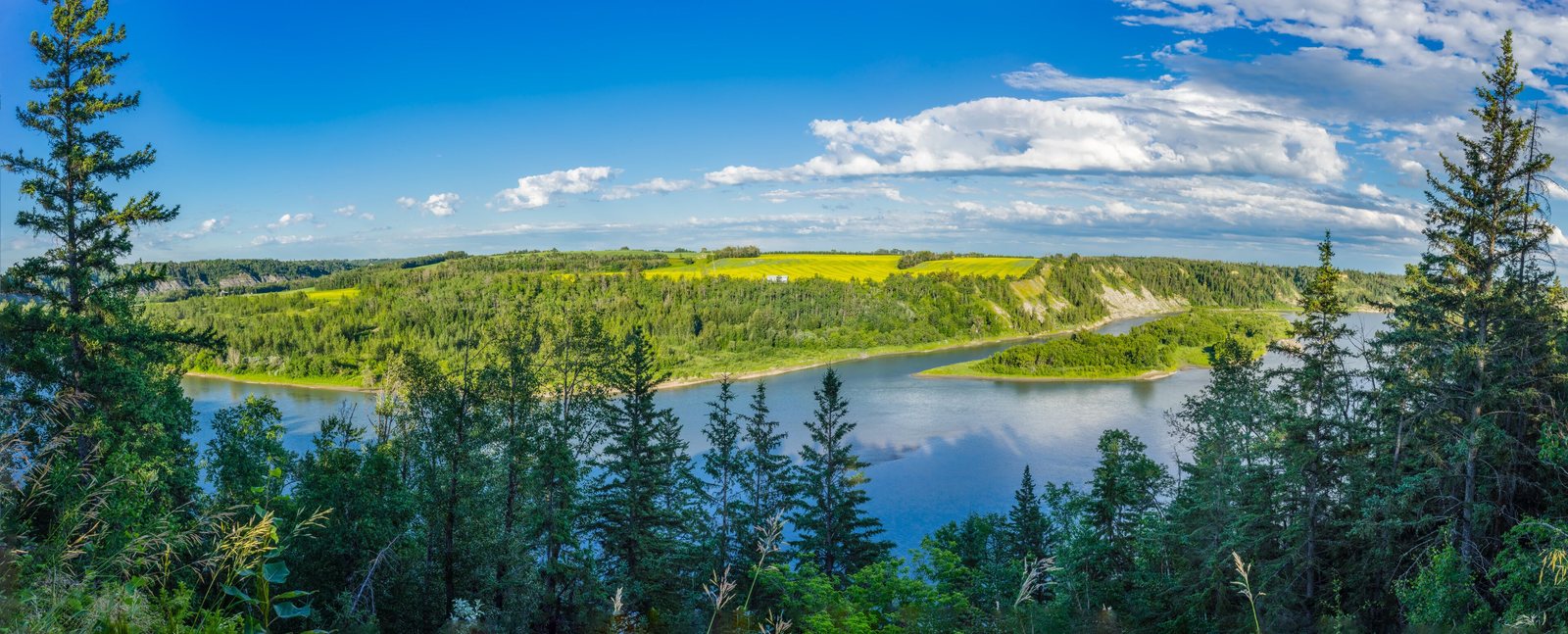 The river valley in Lac Ste. Anne &ndash; Parkland, with canola fields on the far bank under a wide summer sky